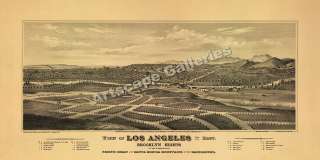 Birds Eye View 1877 Los Angeles CA Old Map   24x48  