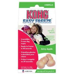  KONG Easy Freeze Juicy Apple Refills Frozen Dog Treats, 4 