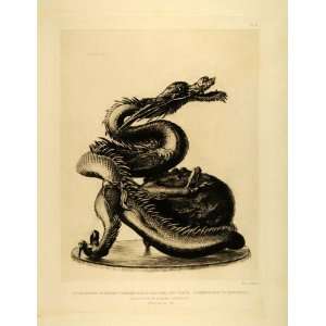  1883 Etching Aquatint Tooun Dragon Incense Burner Bronze 