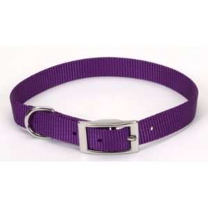  Nylon Collar Purple 5/8X12