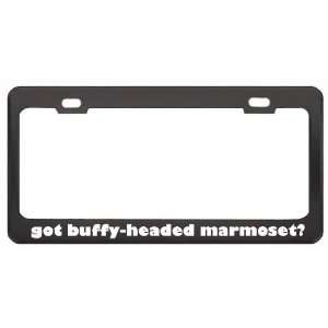 Got Buffy Headed Marmoset? Animals Pets Black Metal License Plate 