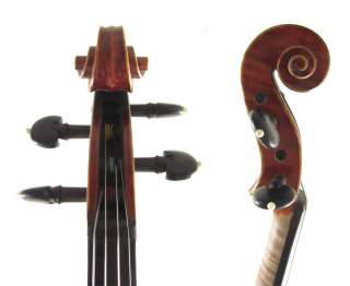 Master Vecchio violin #9195 Beautiful 1PC Bk. Highly Flamed (4/4 