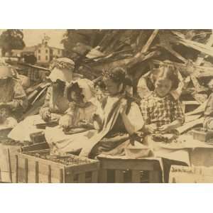   Helen and her stepsisters hulling strawberries at Johnsons Hull