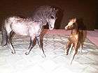 BREYER CLASSIC ANDALUSIAN MARE DAPPLE GRAY AND FOAL #30