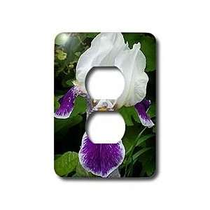  Flowers   Purple Iris   Light Switch Covers   2 plug 