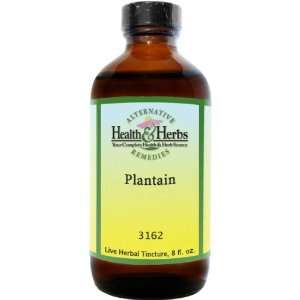 Alternative Health & Herbs Remedies Plantain With Glycerine, 8 Ounce 