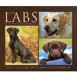  JUST LABS DAILY Page A Day Boxed / Desk Calendar 2012 