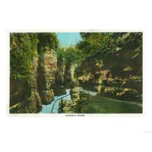     View of Ausable Chasm Premium Poster Print, 12x16