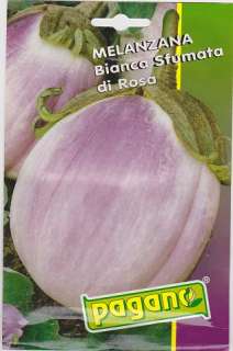 Melanzana Bianca Sfumata di Rosa Round Eggplant 5 gms  