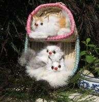 Rare Furry Animals Three Cats In Straw Basket Hang From Wall Real Fur 