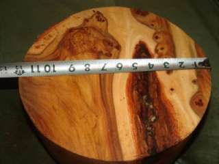 Huge size Carapatian Elm rootstock  turning pc. 12 x 4 1/4 Precut 