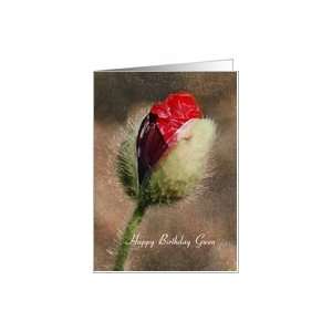  Gwen Birthday   Birth of a Poppy Card Health & Personal 