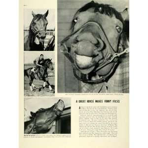 1938 Print Thoroughbred Racing Horse Seabiscuit Charles S 
