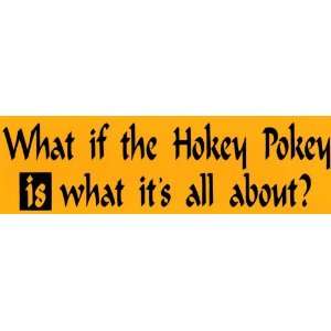  Bumper Sticker What if the Hokey Pokey IS what its all 