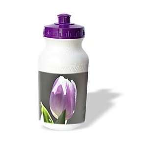   Expressions  Pink Tulip Flower  Photography   Water Bottles Sports