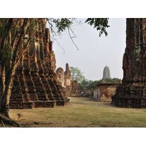  Wat Maha That, Ayutthaya, UNESCO World Heritage Site 