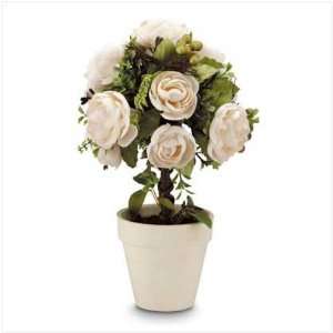  White Rose Topiary