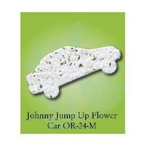  OR 24 M    Seeded Car Shape Johnny Jump Up Patio, Lawn & Garden