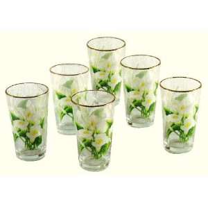    Cala Lilly 16oz. Tumblers Glass Set of 6 Glasses