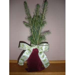   Tree Seedling Group of 3 W/burgundy Pouch and Tree Ribbon Patio, Lawn