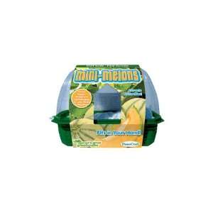  Sprout n Grow Greenhouse   Mini Melons Toys & Games