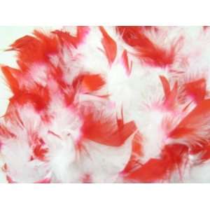   RED 6 Foot 60 Gram Feather Boas (Receive 6 Per Order) 
