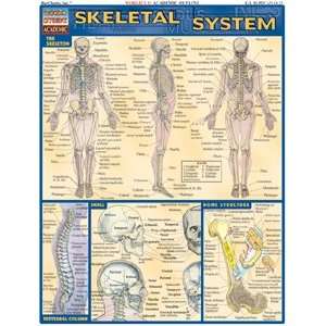  Skeletal System, Laminated Giude, sold by 100 Health 