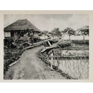  1930 Japan Wooden Plow Photogravure Rice Field Paddy Japanese 