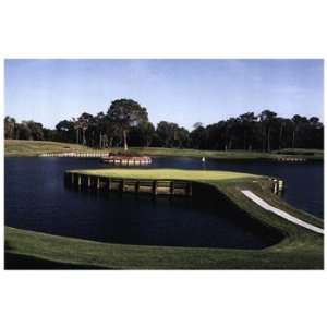  TPC Sawgrass #17 #352   Poster (12x8)