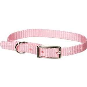     3/8 Single Ply Nylon Dog Collar in Pink