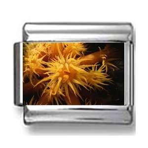  Sean Anemone Photo Italian Charm Jewelry