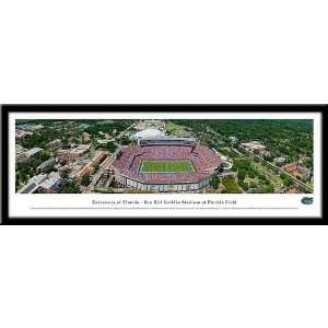  Florida Gators Ben Hill Griffin Framed Panoramic Stadium 