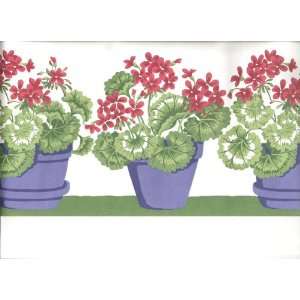  Geranium Closeout Border