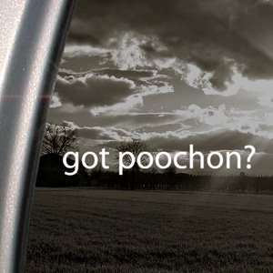    Got Poochon? Decal Bichon Frise Poodle Car Sticker Automotive