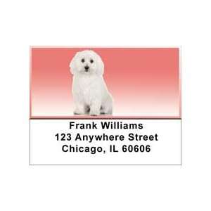  Adorable Bichons Address Labels