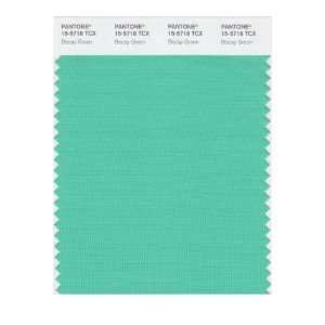   SMART 15 5718X Color Swatch Card, Biscay Green