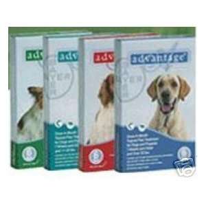 Advantage Flea Treatment 6 mo. Supply DOGS 1 10 Lbs  