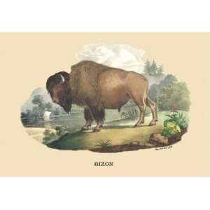  Exclusive By Buyenlarge Bizon (Bison) 28x42 Giclee on 