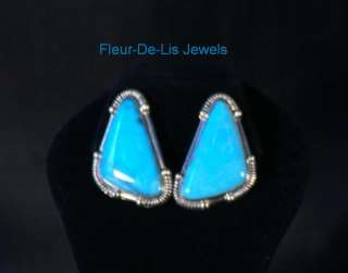 Jay King MINE FINDS Blue KINGMAN Turquoise Gallery Earrings  
