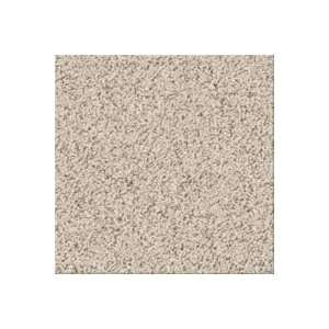   Industries 9907503 Sesame Horizon Meritage Natural Oak Carpet Flooring