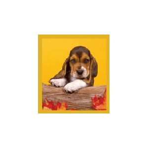  New Magnetic Bookmark Basset Puppy High Quality Modern 