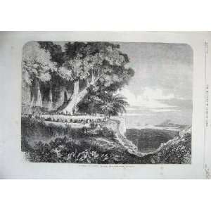   1863 Kabar Council War Madagascar Ships Trees Fine Art