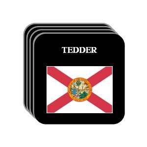 US State Flag   TEDDER, Florida (FL) Set of 4 Mini Mousepad Coasters