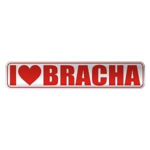   I LOVE BRACHA  STREET SIGN NAME