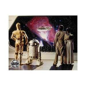  Star Wars (ESB) C 3PO, R2 D2, Luke, & Princess Leia Color 