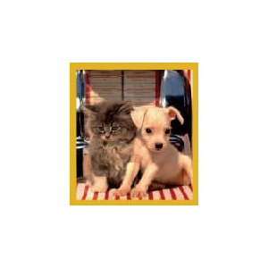  New Magnetic Bookmark Lets Rock N Roll Kitten & Puppy 