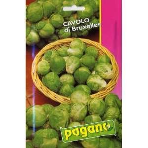  Pagano 3906 Brussel Sprouts Seed Packet Patio, Lawn 
