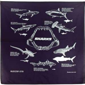  Sharks Bandana