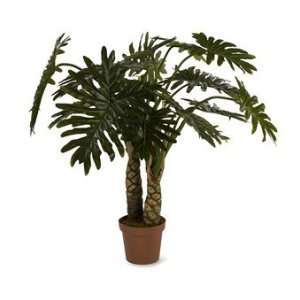  Imax Corporation 61059 Monstera Palm   4 in height Patio 