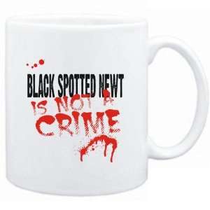 Mug White  Being a  Black Spotted Newt is not a crime  Animals